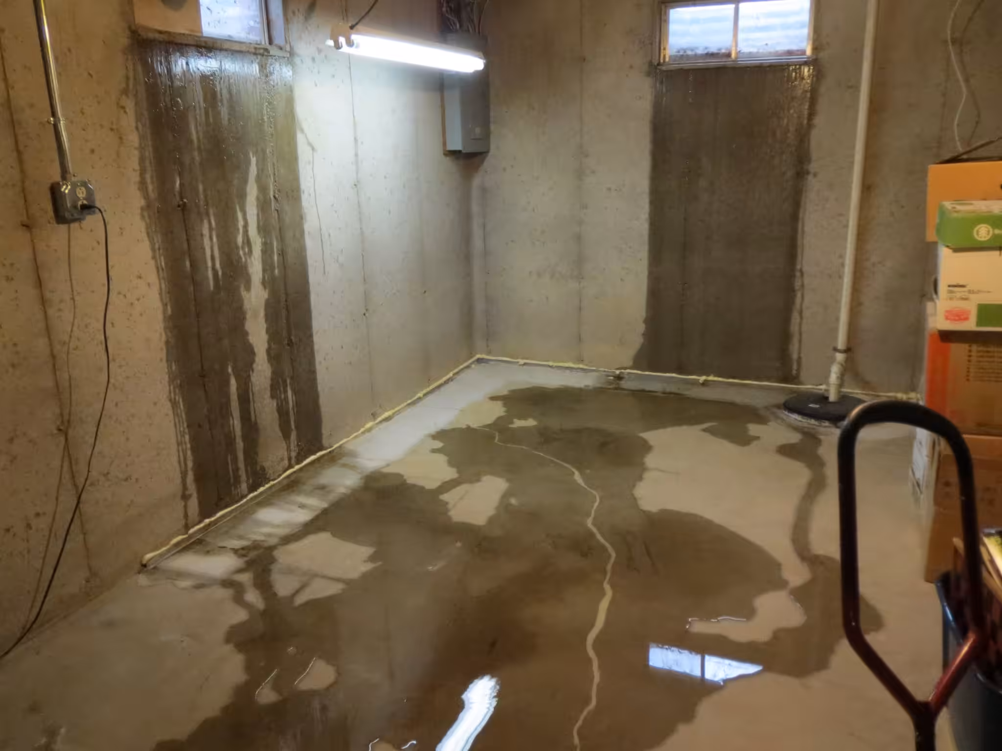 basement moisture