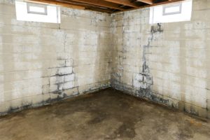 Mold Removal | Youngstown, OH | Ohio State Waterproofing