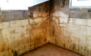 mold-prevention-youngstown-oh-ohio-state-waterproofing-1