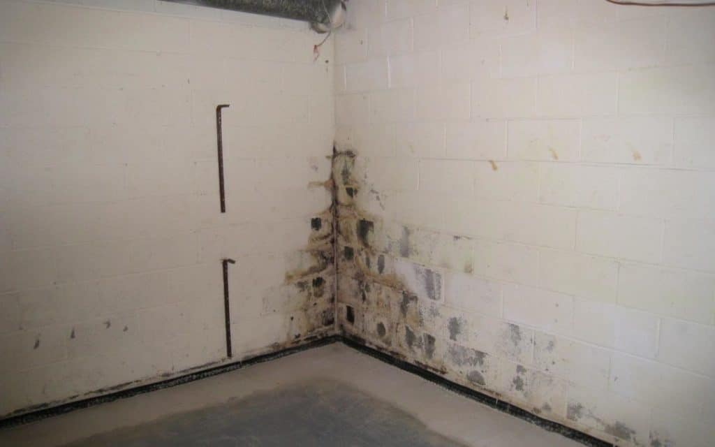 Basement corner with visible mold growth on walls, highlighting water infiltration issues relevant to basement waterproofing services.