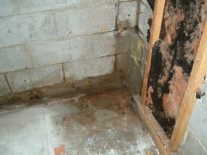 basement-waterproofing-professionals-ohio-state-waterproofing-2