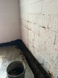 Basement corner showing moisture stains on cinder block walls and a bucket, highlighting potential water damage and the need for effective moisture management.